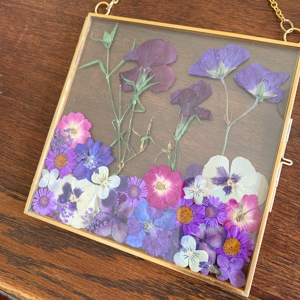 Pressed flowers